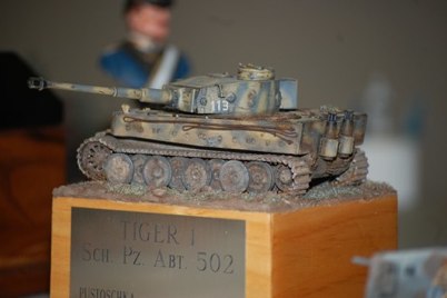Stute Tiger