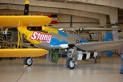 DSC_0920.JPG