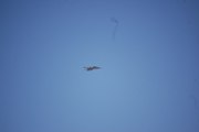 DSC_0951.JPG