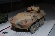 LAV-25 Desert Storm