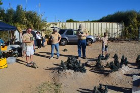 DAK photo