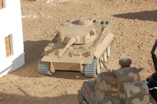 New desert tiger goes for a spin.