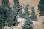 DSC_0675.JPG