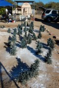DSC_0573.JPG