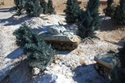 DSC_0594.JPG