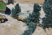 DSC_0595.JPG