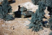 DSC_0664.JPG
