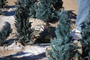 DSC_0667.JPG