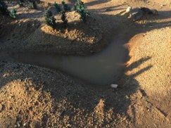 DAK photo