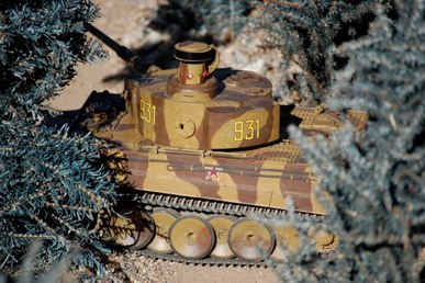 DAK photo