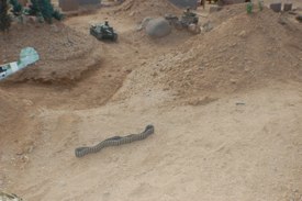 DAK photo