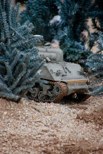 DAK photo