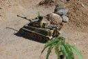 DAK photo