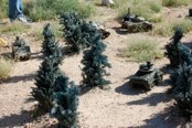 Let the mayhem begin.  Allies line up in the forrest!