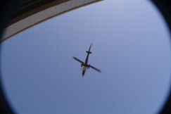 DAK photo