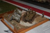 DAK photo
