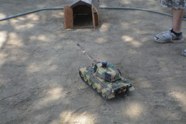 DAK photo