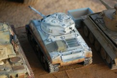 DSC_0718.JPG