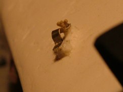 Using some scrap brass strip and a spare wing-nut, I pilfered from the "K" sprue of the Tamiya Tiger I static kit, I added the cable stay to Nick's cast resin transmission cover.