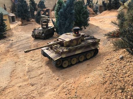 Got some decent shots on a tiger though!
