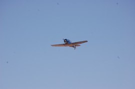 DAK photo