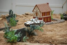 DAK photo