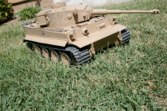 Tiger1 142 2